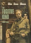 The Fugitive Kind (1959)3.jpg